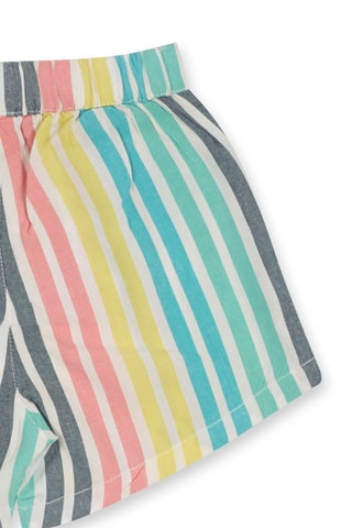 Short Treasure Island - Groen