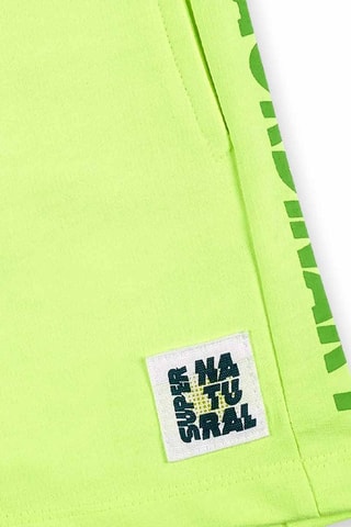 Bermuda Supernatural - Groen