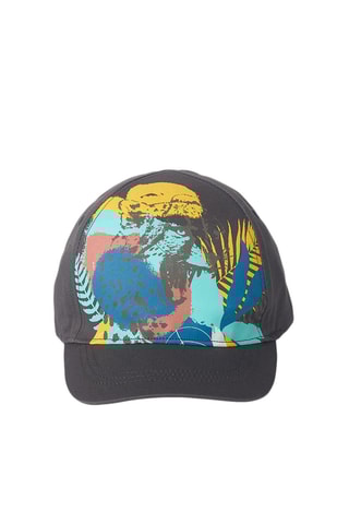 Pet Lost Paradise - Grijs