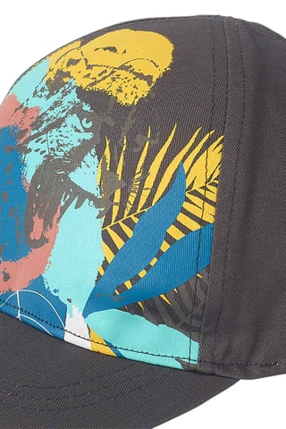 Pet Lost Paradise - Grijs