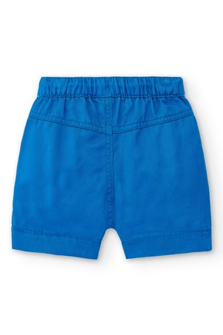 Bermuda Ocean Wonders - Blauw