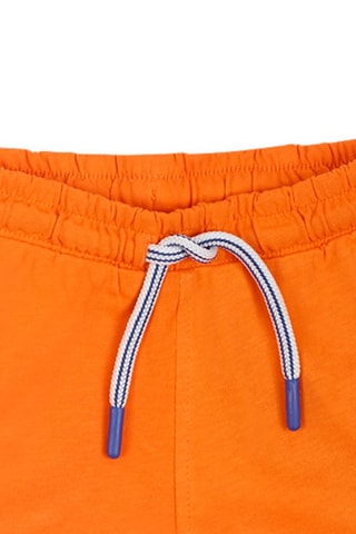 Bermuda Eco-Safari - Oranje