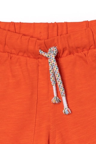 Bermuda Holidays - Rood