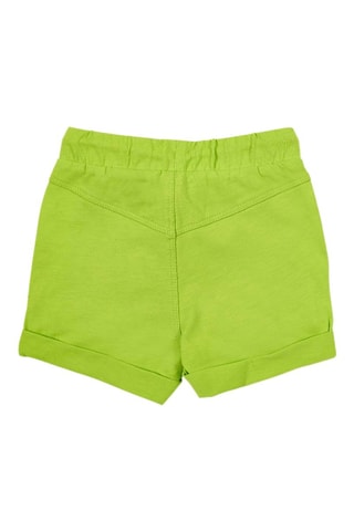 Short Ocean Wonders - Groen