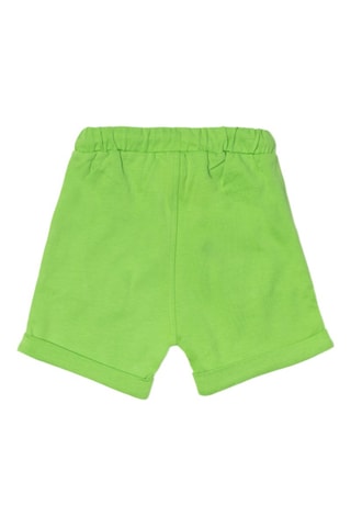 Bermuda Holidays - Groen