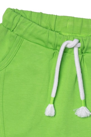 Bermuda Holidays - Groen