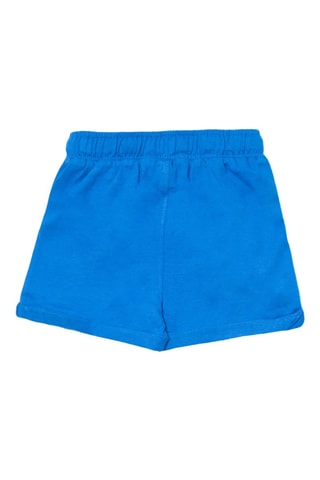 Bermuda Eco-Safari - Blauw