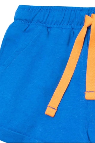 Bermuda Eco-Safari - Blauw