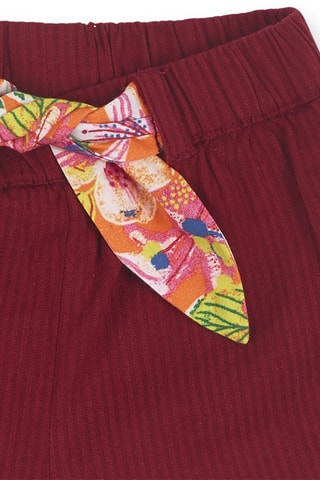 Short Eco-Safari - Rood