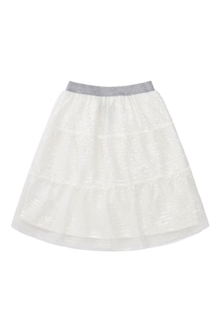 Rok Le Jardin - Zilverkleurig