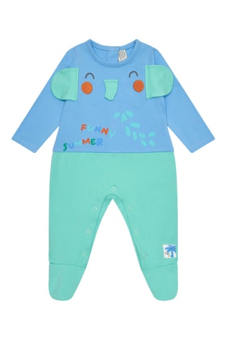 Boxpakje Tropical Summer - Groen