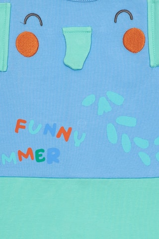 Boxpakje Tropical Summer - Groen