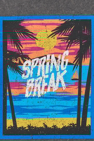 T-shirt Surf and fun - Grijs