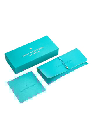 Zonnebril Dames - Bruin Categorie 3 - Emily Westwood - Zwart en grijs