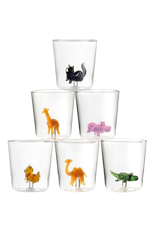6 vasos de vidrio de borosilicato Savana Family - 30 cl