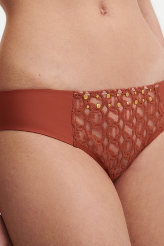 Braga - Marrón - Chantelle X