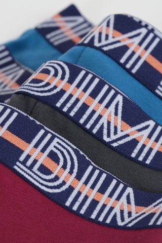 3 parigamba Coton stretch - Fucsia, nero e celeste