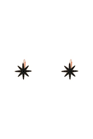 Pendientes - Plata y chapado en oro rosa