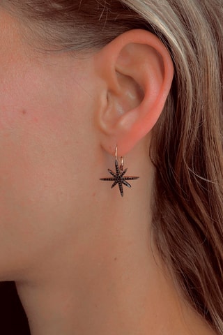 Pendientes - Plata y chapado en oro rosa