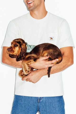 Bandana para perro - Caqui