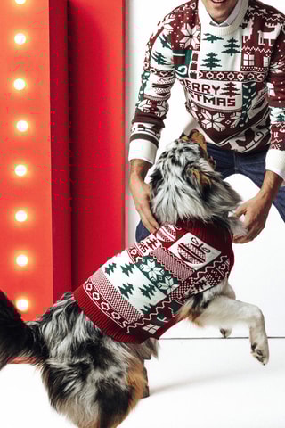 Jersey para perro - Rojo y blanco