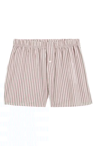 Calzoncillo de algodón orgánico - Violeta y blanco