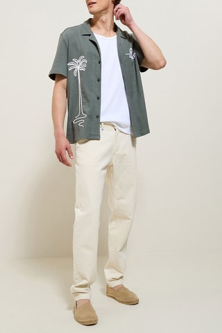 Camisa regular fit - Verde claro