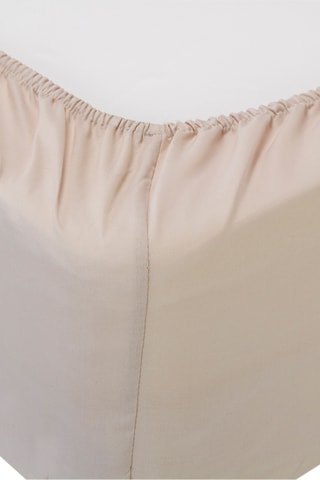 Drap-housse en coton 140 fils/cm² - Beige