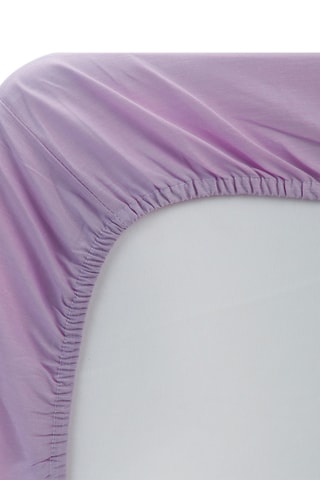 Drap-housse en coton 55 fils/cm² - Violet