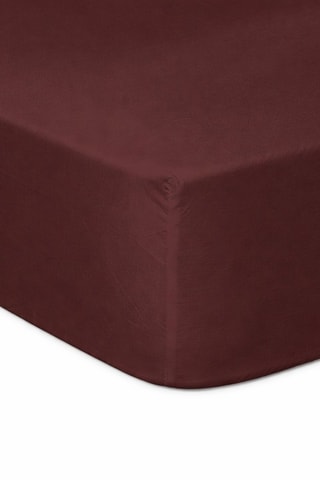 2 sábanas bajeras de algodón - 57 hilos/cm² - Chocolate