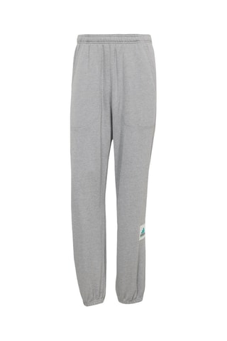 Pantalon ample Eqt - Gris