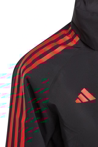 Veste Royal Belgian - Noir