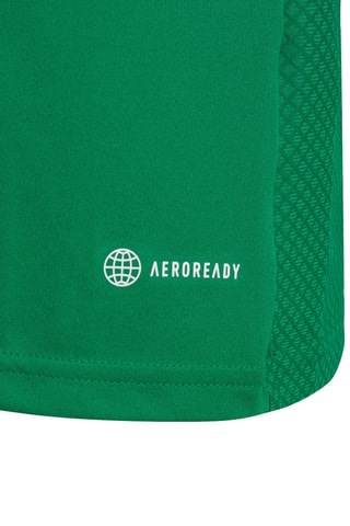 Maillot de football Tiro 23 League - Vert