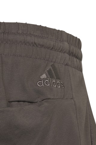 Pantalon de survêtement Essentials Badge of Sport - Marron