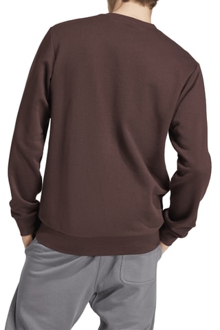 Sweat regular Essentials - Marron