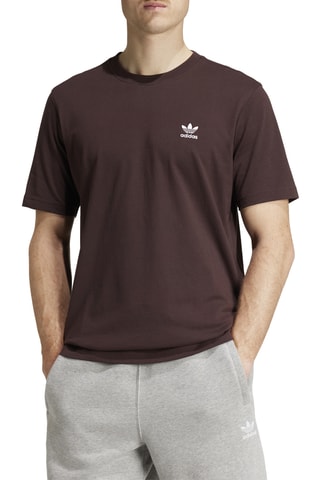 T-shirt Essentials - Marron