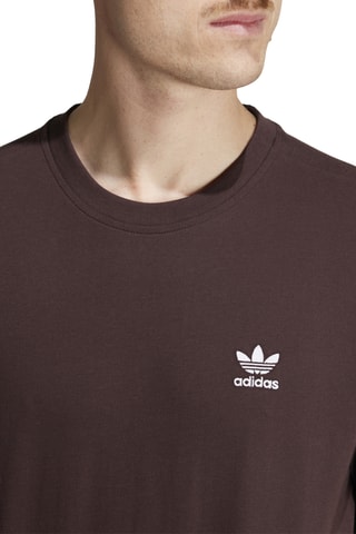 T-shirt Essentials - Marron