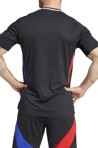 Maillot de football Olympique Lyonnais 24/25 - Noir