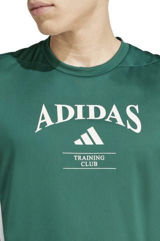 T-shirt Legacy - Vert et blanc