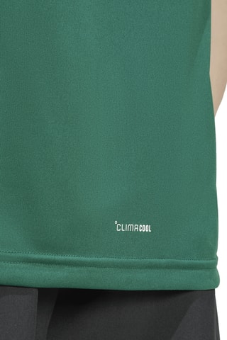 T-shirt Legacy - Vert et blanc