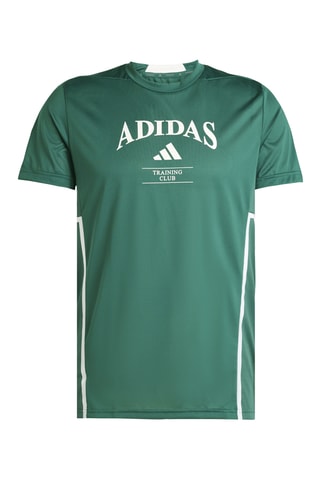 T-shirt Legacy - Vert et blanc