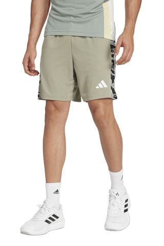 Short regular Essentials - Argenté et kaki