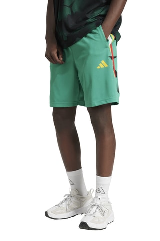 Short House of Tiro - Vert d’eau