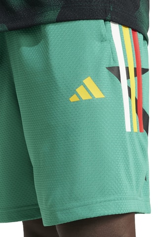 Short House of Tiro - Vert d’eau