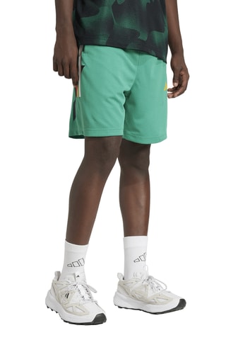 Short House of Tiro - Vert d’eau