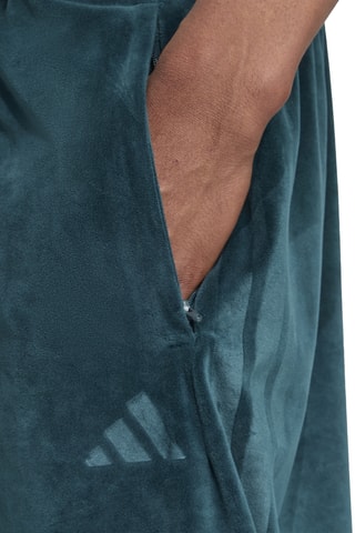 Pantalon Tiro - Vert foncé