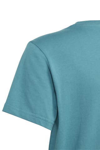 T-shirt regular Trefoil - Bleu canard et blanc