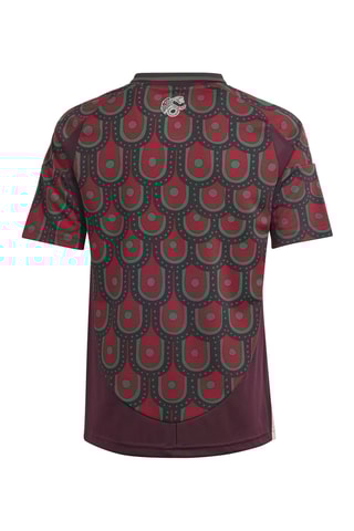 Maillot de football Mexique - Bordeaux et vert foncé