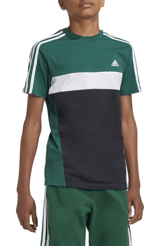 T-shirt Tiberio - Vert foncé