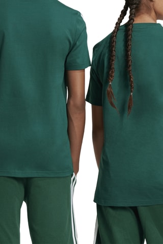 T-shirt Tiberio - Vert foncé